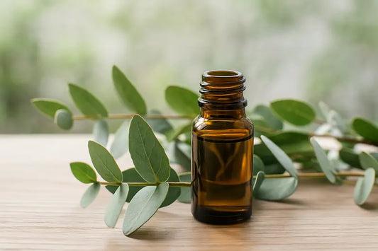 Beneficios del Eucalipto en Aromaterapia: Respiración y Energía Natural