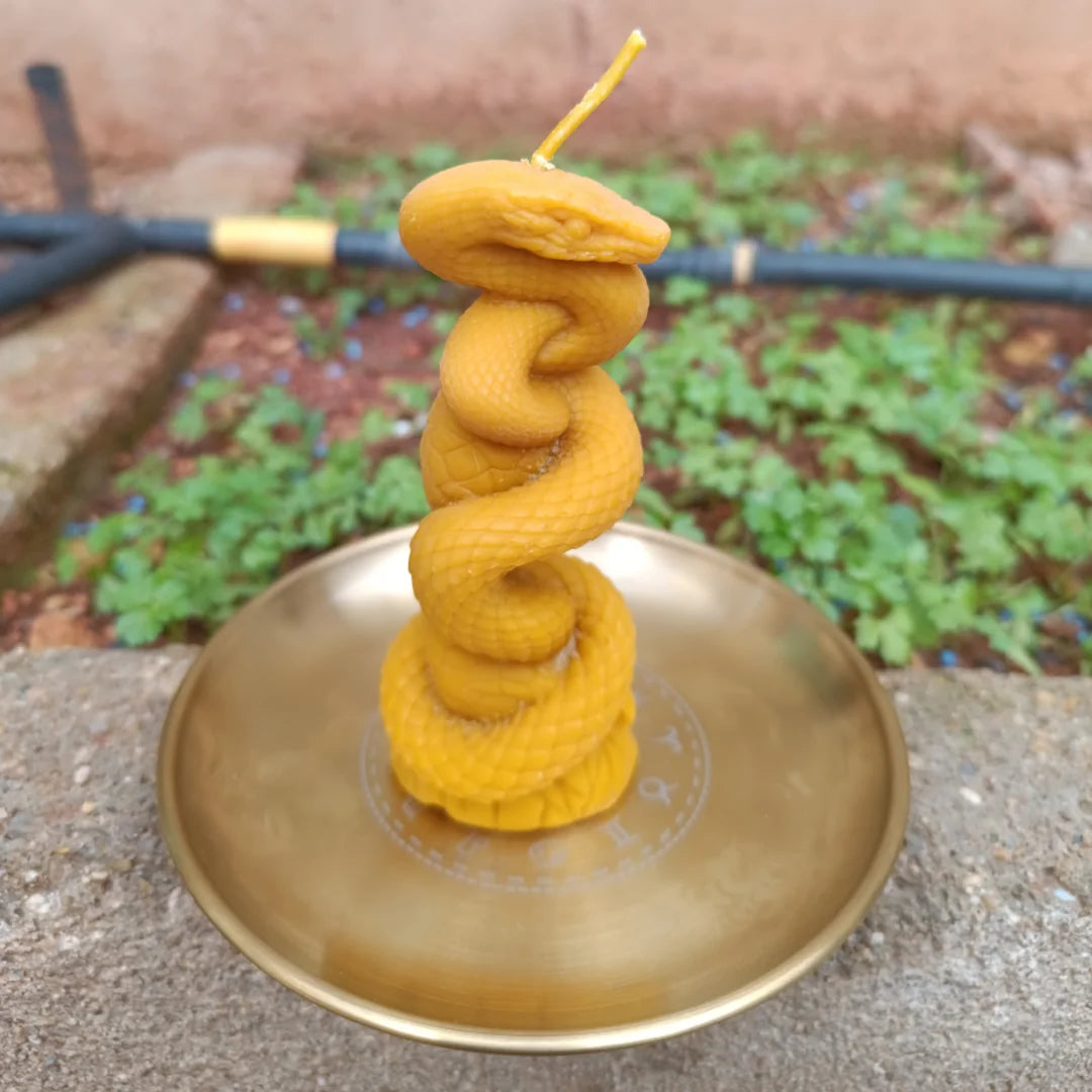 Soporte ritual con horóscopo y vela artesanal de cera de abeja para rituales energéticos